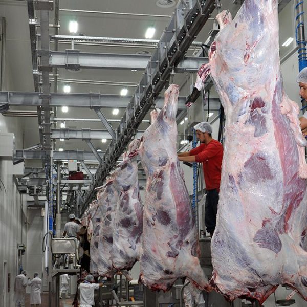 387474efba925470f1793cb093842cb6