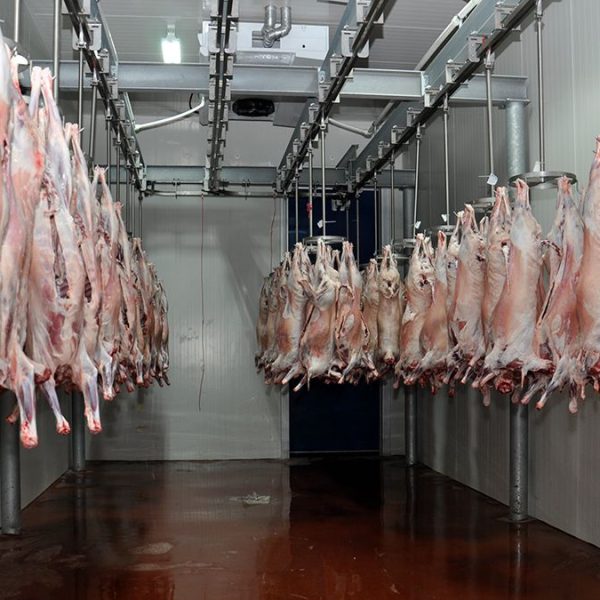 6c894afed08511ed9355fd3d72388f3c