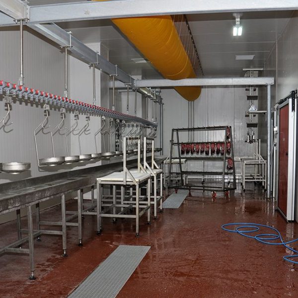 81d47f0fe20b2d93978e8fb2cb2b5f66