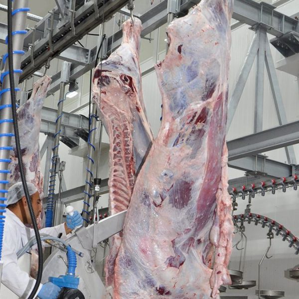 cc4ec52f530a66a8a486556df55c85ee